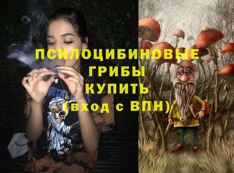 Галлюциногенные грибы Magic Shrooms  Бугульма 